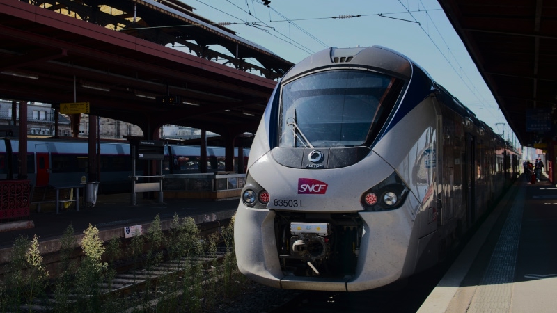 Chauffeur-driven shuttle from the train station